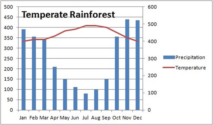 Rainforest Rainfall Graph